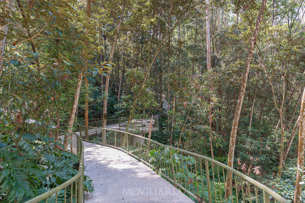 Apartamento en Venta en El Tesoro, Medellín con garaje con REF 1549