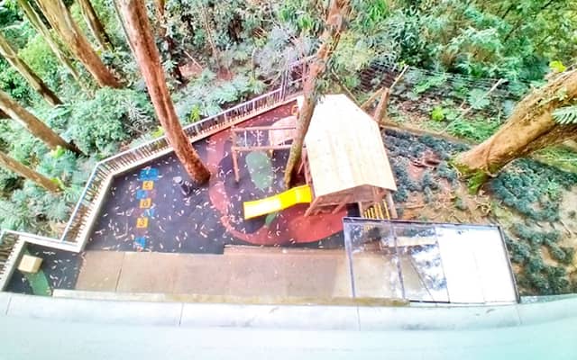Apartamento en Venta en El Esmeraldal, Envigado con garaje con REF 1249