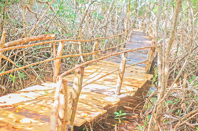 Edificio en Venta en Troncal del Caribe, Coveñas de 2 plantas con garaje con REF 1312
