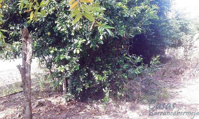 Lote en Venta en Campo Gala, Barrancabermeja con REF 543