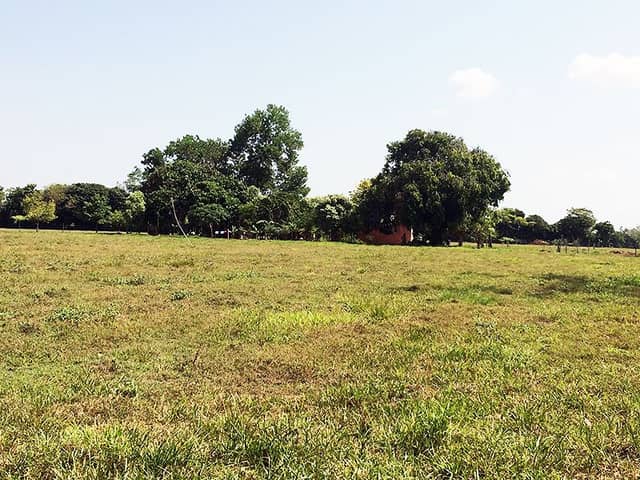 Finca en Venta | REF: 732 en San rafael Barrancabermeja