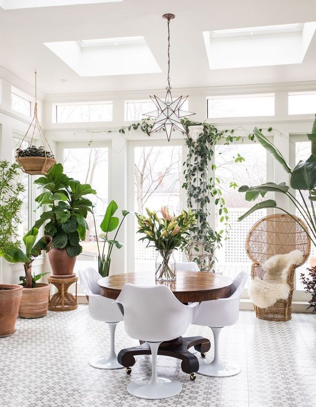 Un sillón Emmanuelle sublimado por plantas