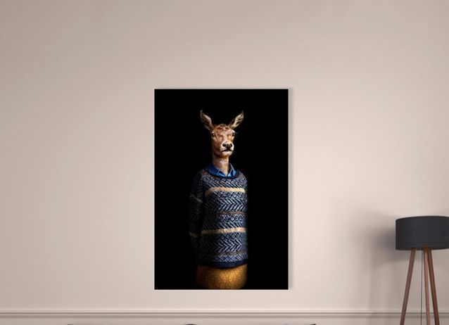 Los animales se muestran