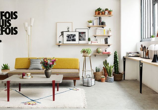 No cuentes los cactus