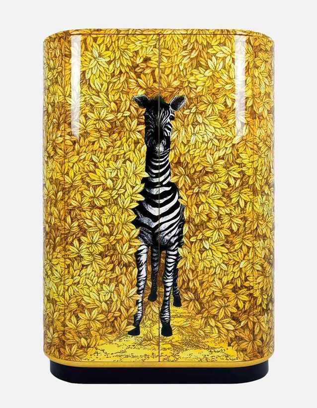 Almacenamiento con diseño de cebra