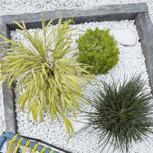 Jardín zen en grava y pastos