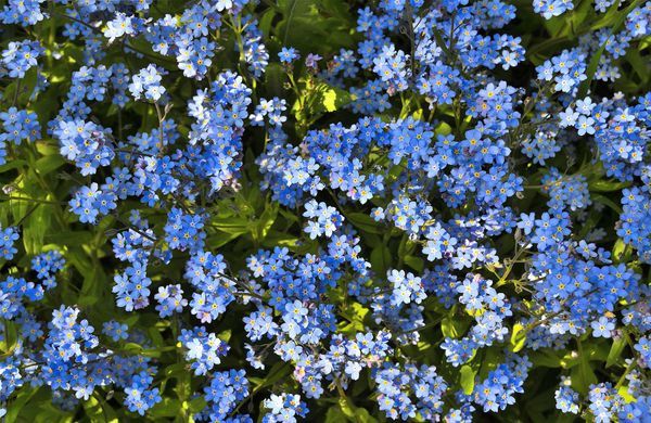 iStock-1225414699-Rvo233-1248 iStock-1225414699-Rvo233-1248