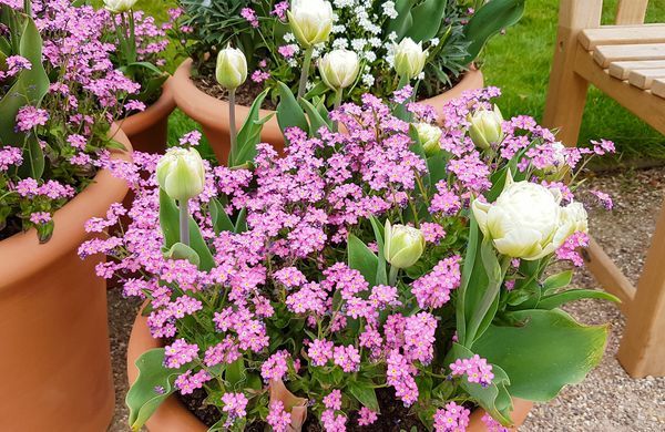 iStock-1325631272-Eileen Groome-1248 iStock-1325631272-Eileen Groome-1248