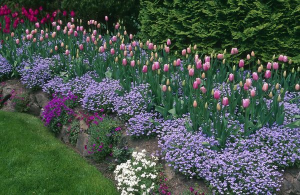 iStock-173935709-laughingmango-1248 iStock-173935709-laughingmango-1248