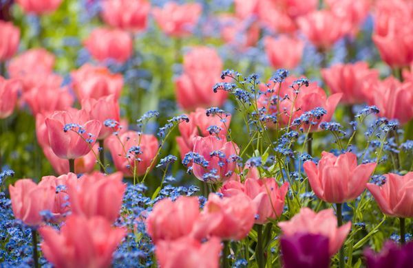 iStock-856127246-JanelleLugge-1248 iStock-856127246-JanelleLugge-1248