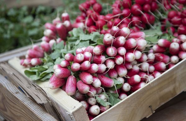 iStock-1413829946-Peter Carruthers-1248 iStock-1413829946-Peter Carruthers-1248