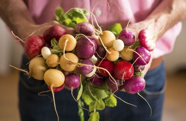 iStock-516296296-PhotographyFirm-1248 iStock-516296296-PhotographyFirm-1248