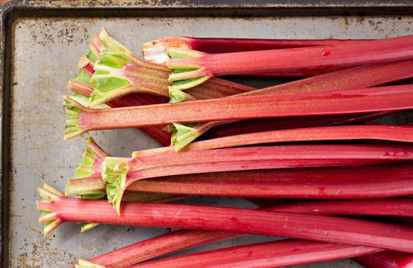 iStock-180822458-DebbiSmirnoff-1248