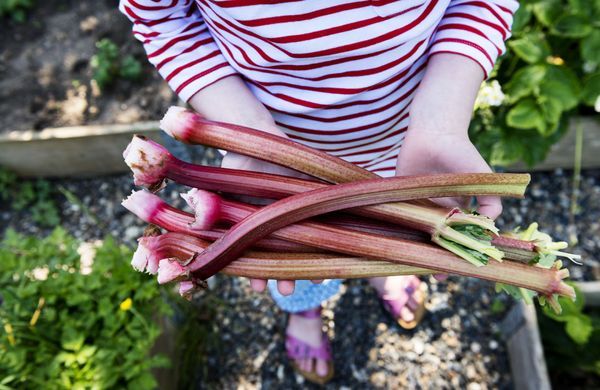 iStock-494397025-ClarkandCompany-1248