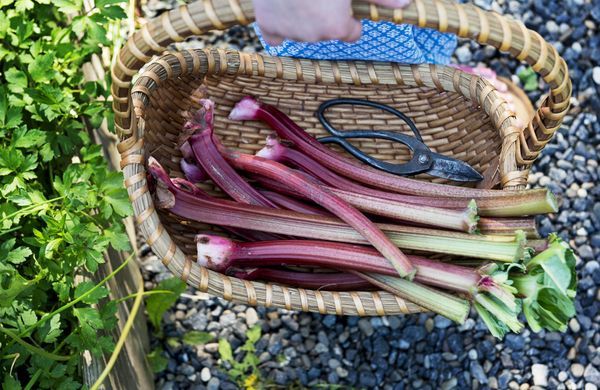 iStock-498473751-ClarkandCompany-1248