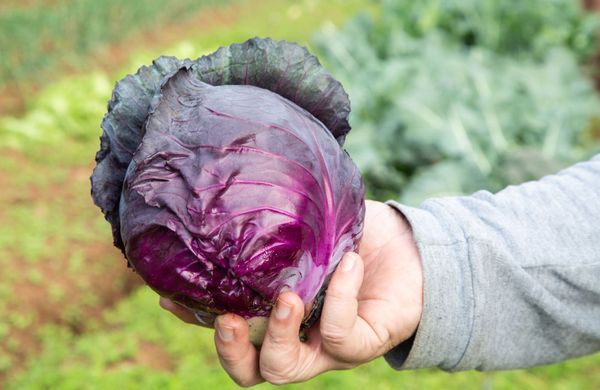 GettyImages-1419704483-DircinhaSW-1248