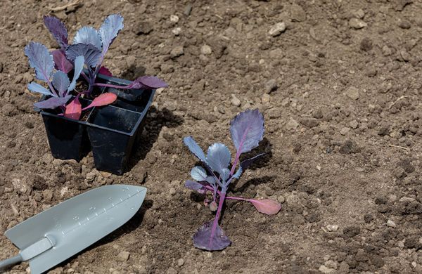 GettyImages-2207952167-JJ Gouin-1248