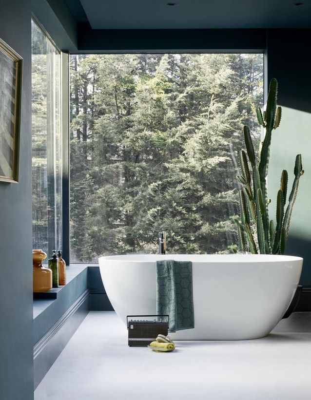 Cactus XXL en el baño